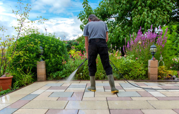 Trusted Ahoskie, NC Pressure Washing Services Experts